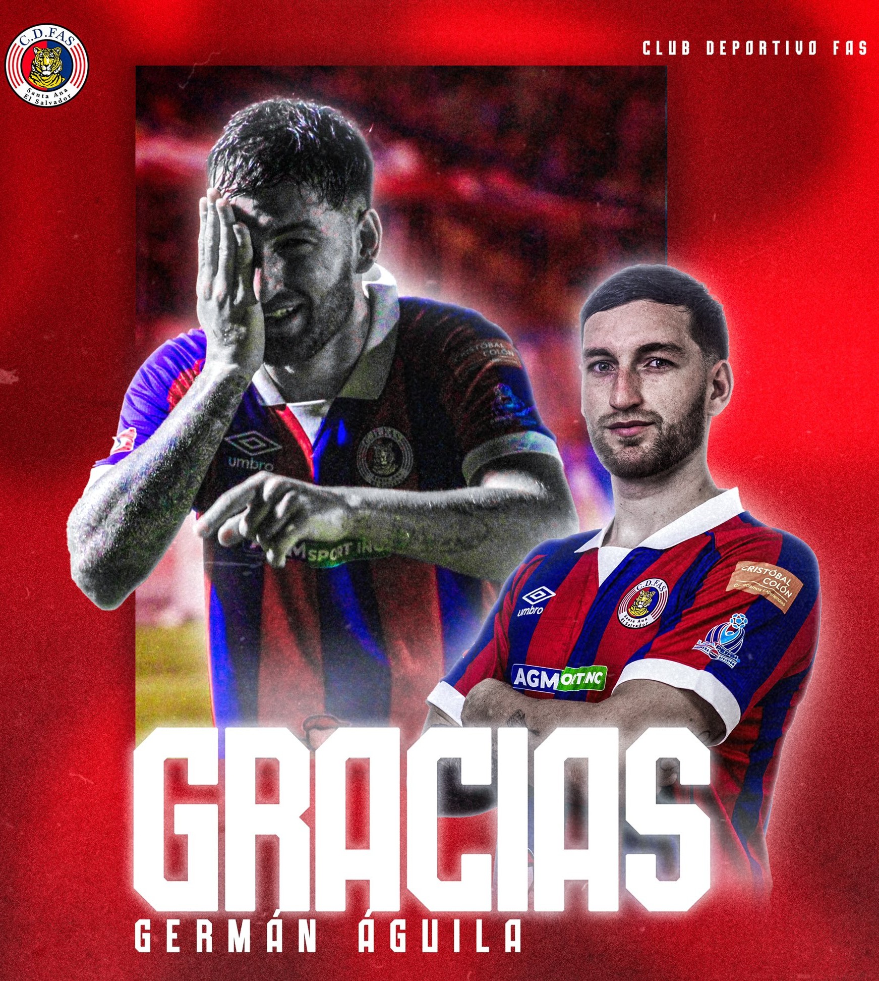 Los tigrillos anunciaron la primera baja