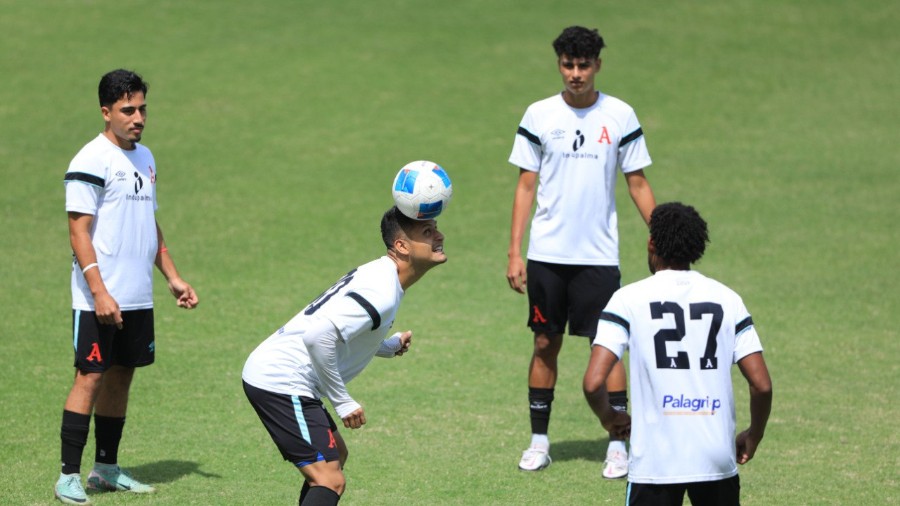 Los paquidermos iniciarán pretemporada este viernes.