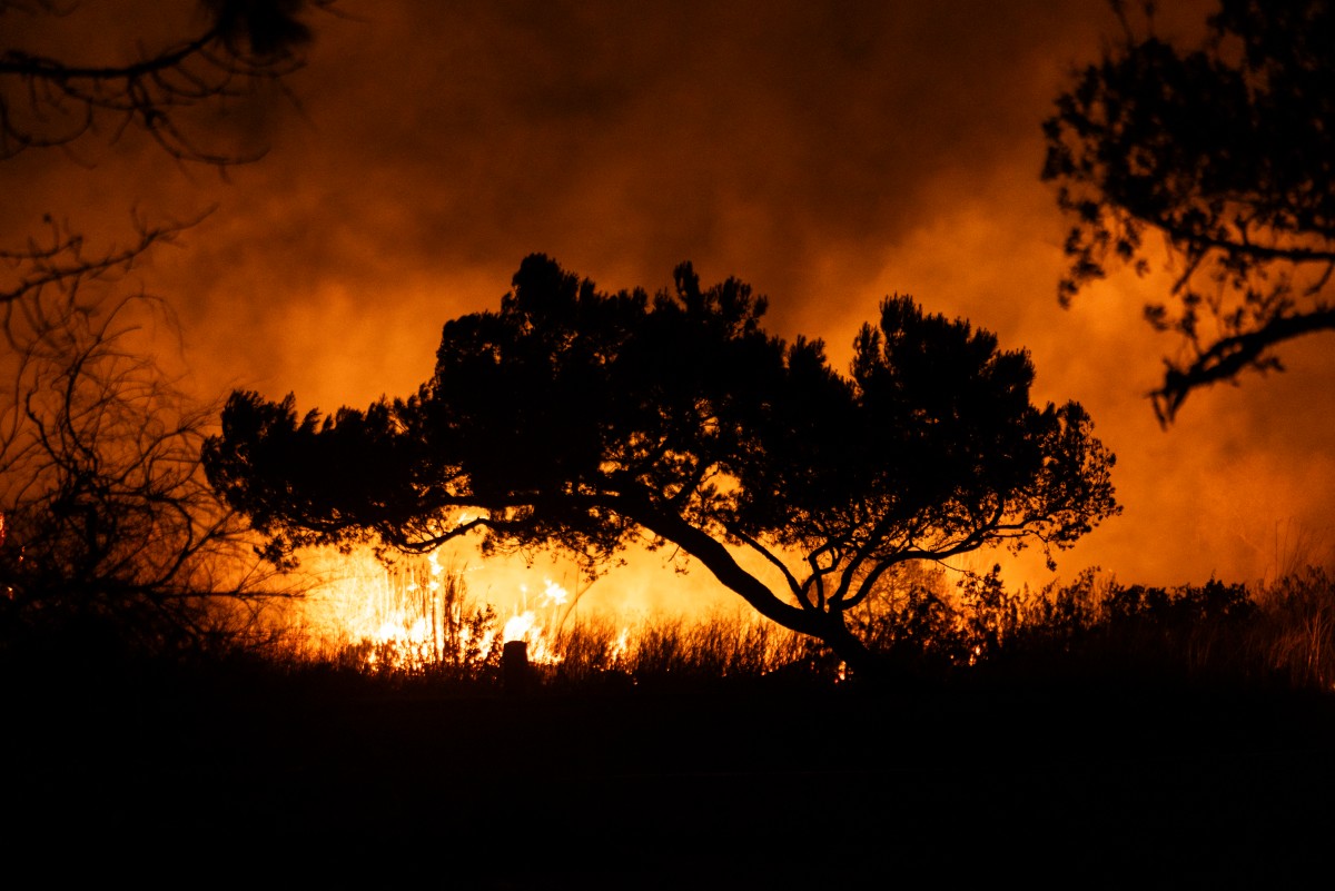 Devastadores incendios en Los Ángeles plantean dudas para los Juegos de 2028