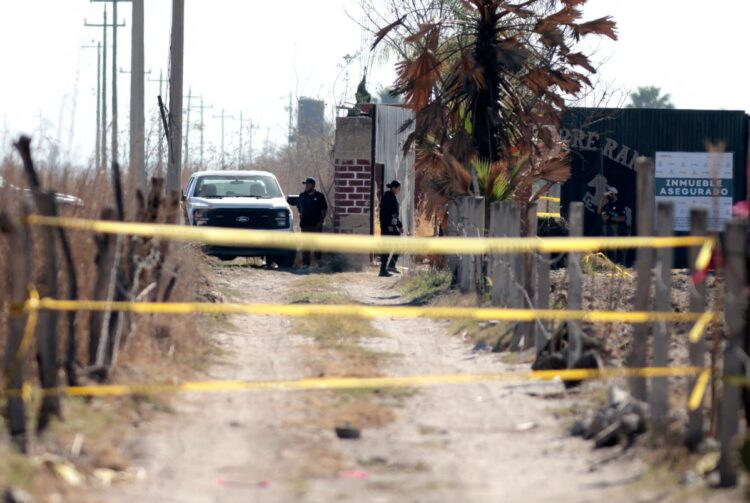 Foto: AFP/ Imagen ilustrativa