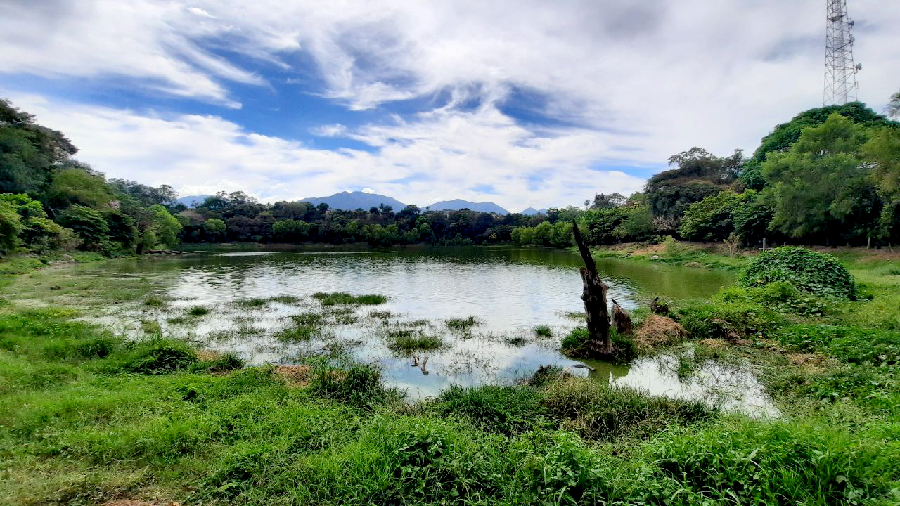 Decretan veda de pesca en la laguna Cuzcachapa, de Santa Ana Oeste