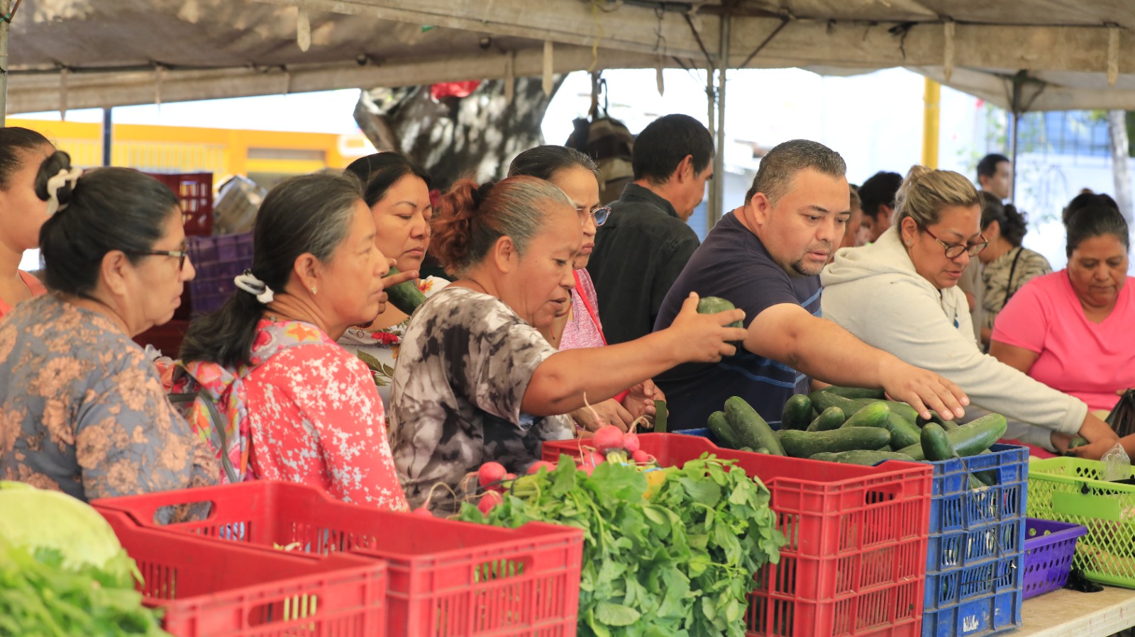 Asamblea avala más fondos para agro mercados y escuelas  
