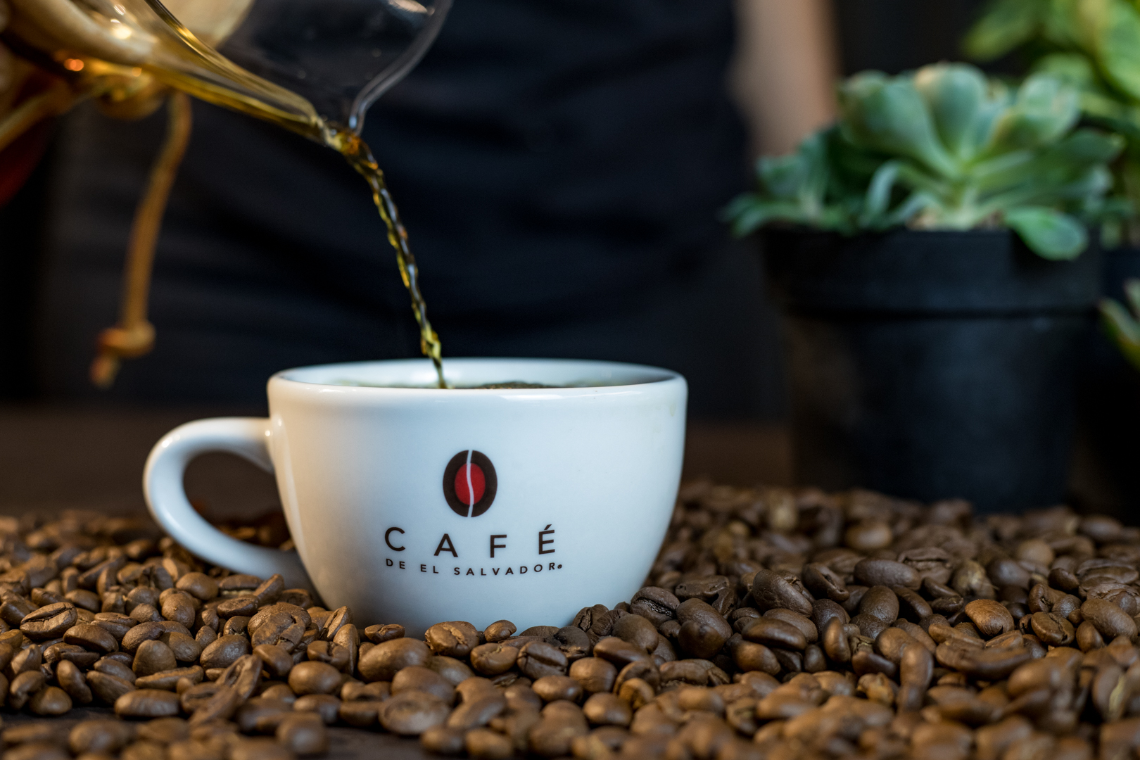 Inicia recepción de muestras de café rumbo a Taza de la Excelencia 2025