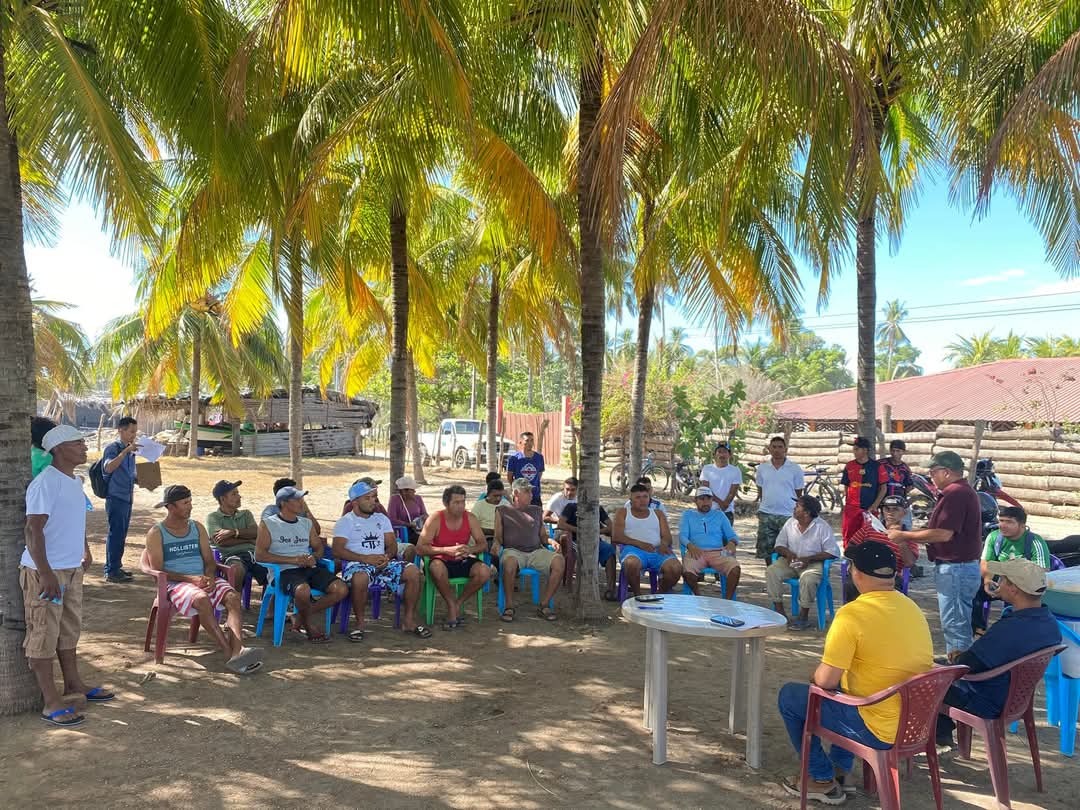 Conservarán las tortugas marinas en playa El Espino, de Usulután