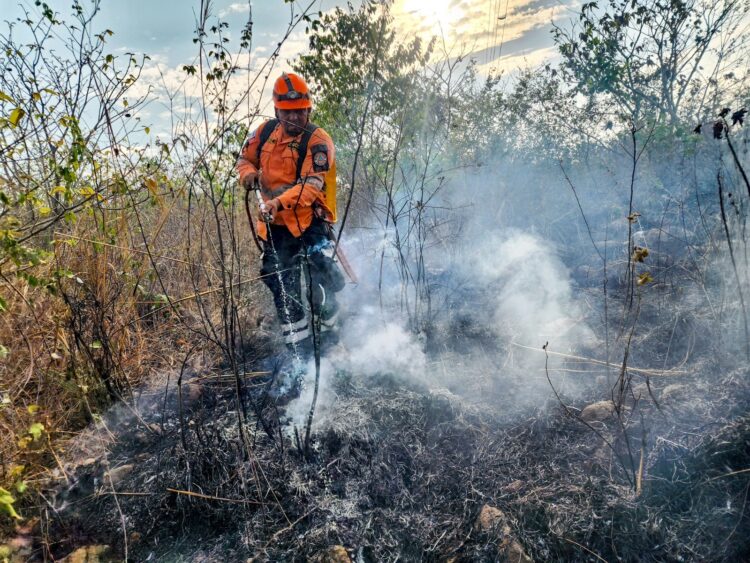 Fotos/ Diario El Salvador