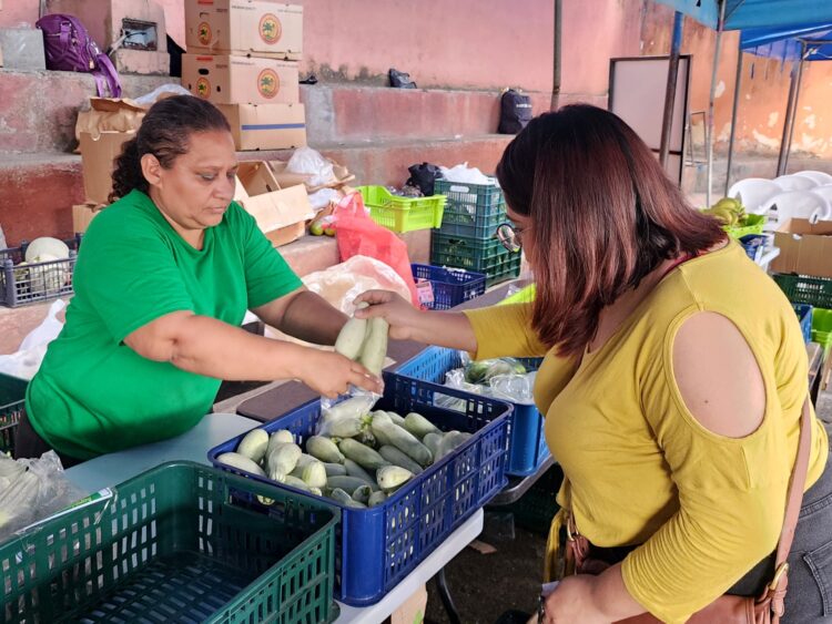 Fotos/ Jeannette Rodríguez