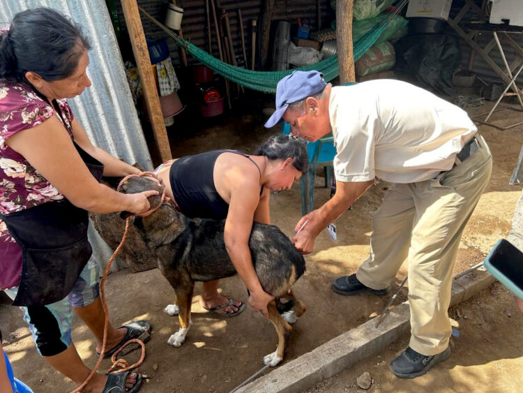 Fotos/ Diario El Salvador