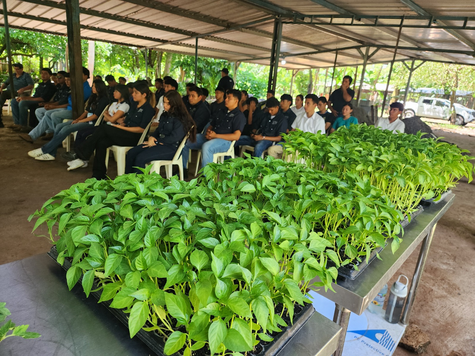 Entregan plantines a estudiantes de bachillerato agropecuario en Usulután