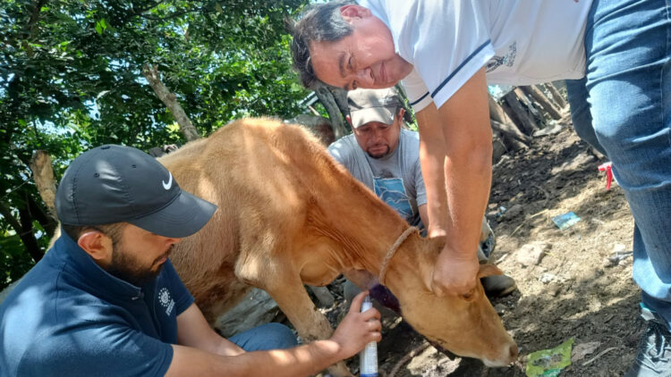 Fotos/ Diario El Salvador