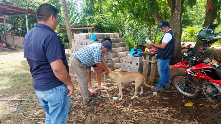 Fotos/ Diario El Salvador