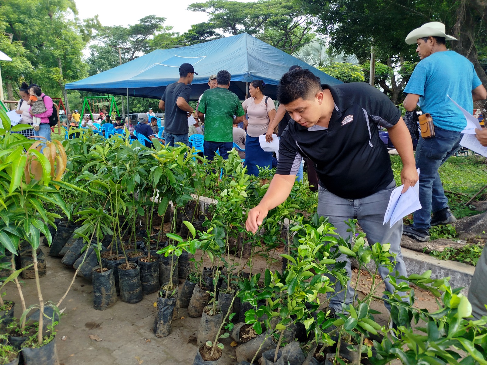 Entregan árboles e insumos a caficultores de la zona oriental