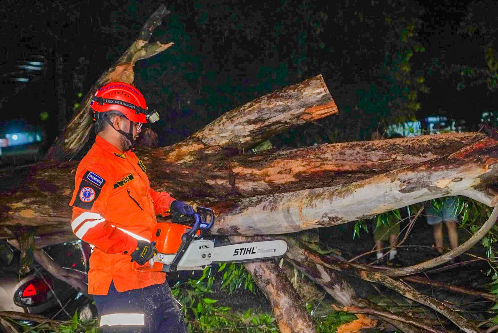 Muere una mujer al caer un árbol en el chalet donde trabajaba en Santa Ana