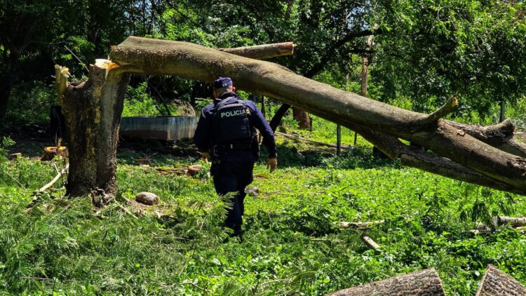 Fotos/ Diario El Salvador