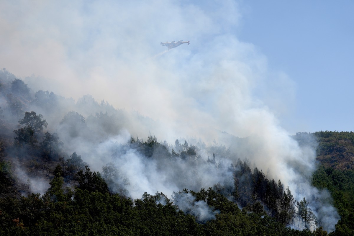 Fotos: Los bomberos avanzan en la lucha contra los incendios en España