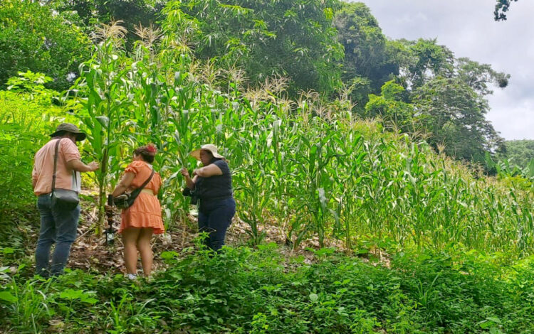 Fotos/ Diario El Salvador