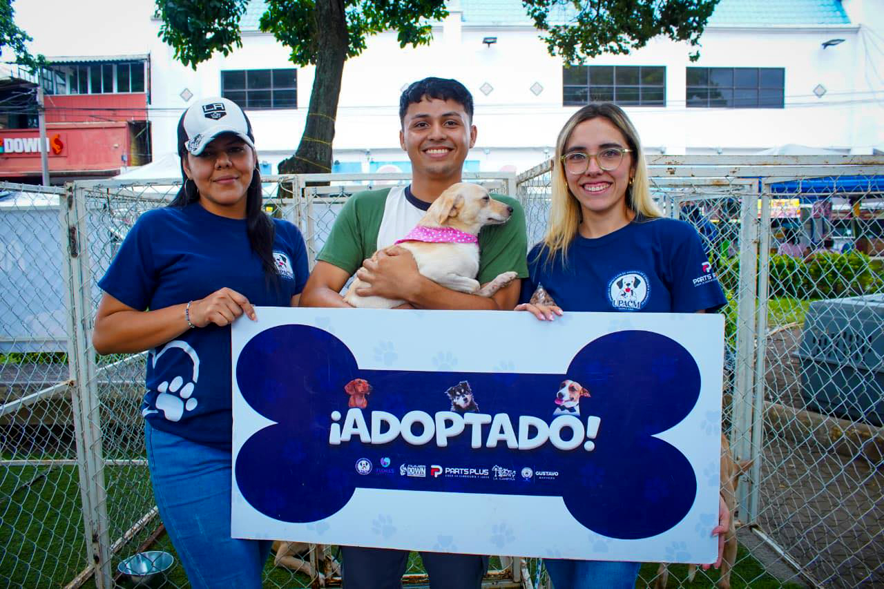 Desarrollan jornada de adopción de caninos en Santa Ana