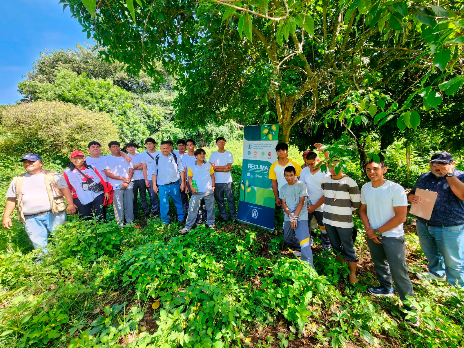 Siembran 97,000 árboles en lo que va del año en Usulután Norte