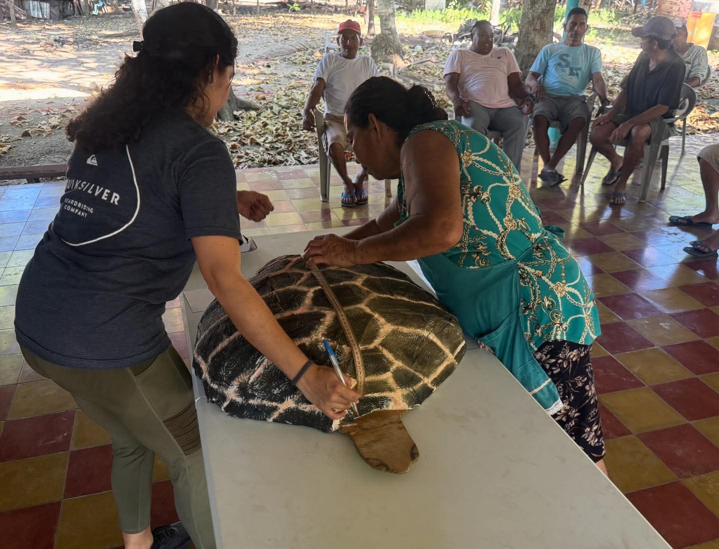 Ejecutan acciones para la protección de tortugas marinas en Usulután