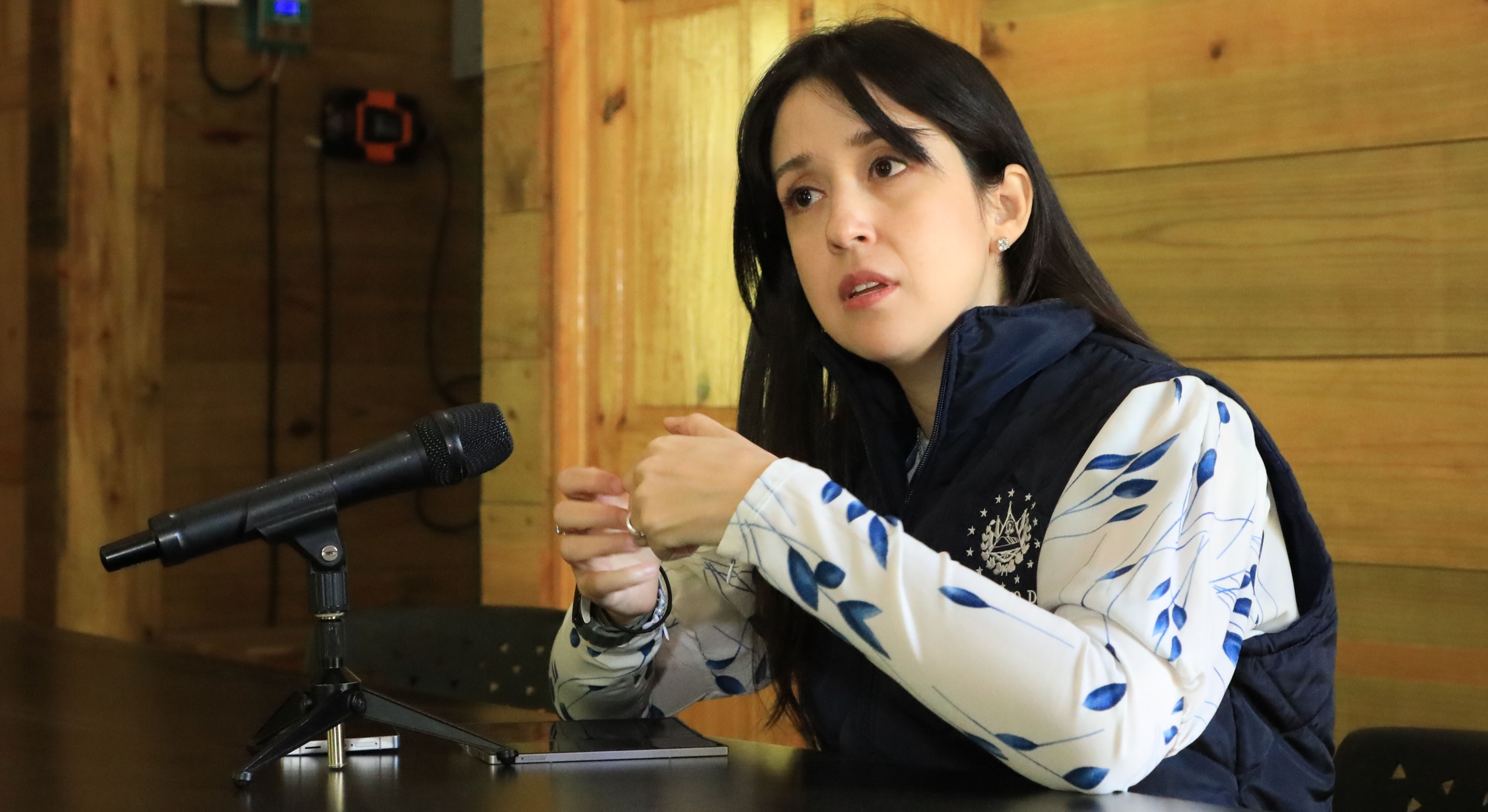 «Hemos avanzado mucho con nuestros principales socios»: vicecanciller Adriana Mira