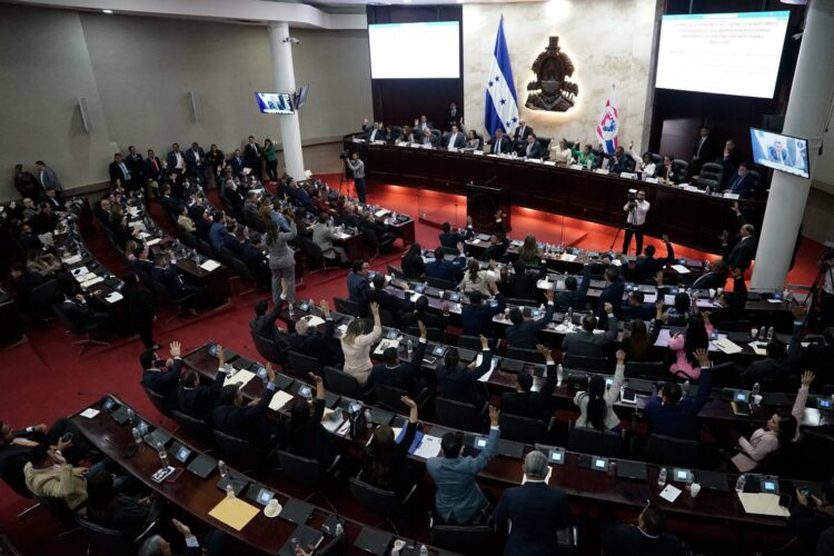 Foto: X @hn_congreso