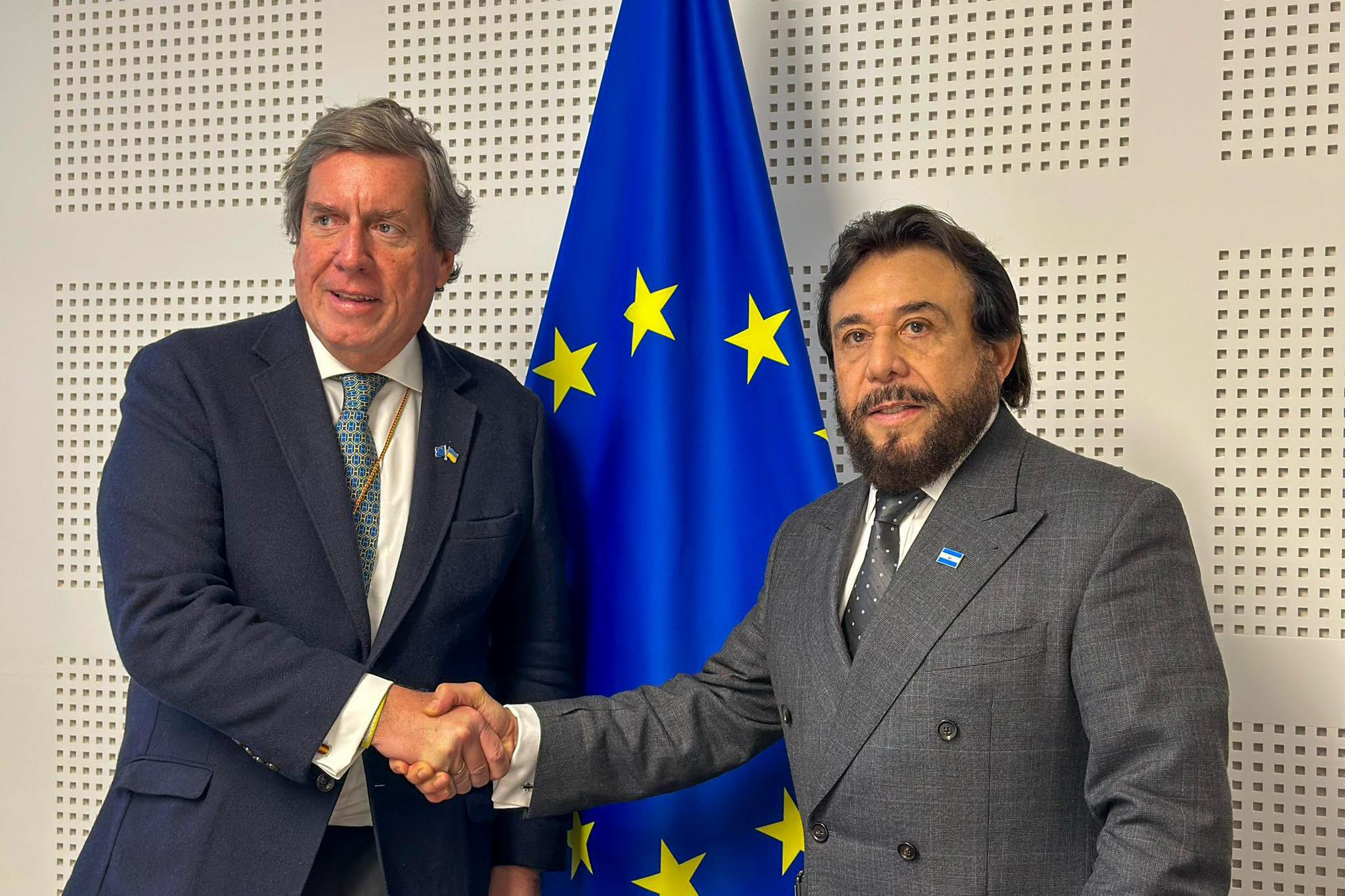 Eurodiputado tiene interés en observar comicios