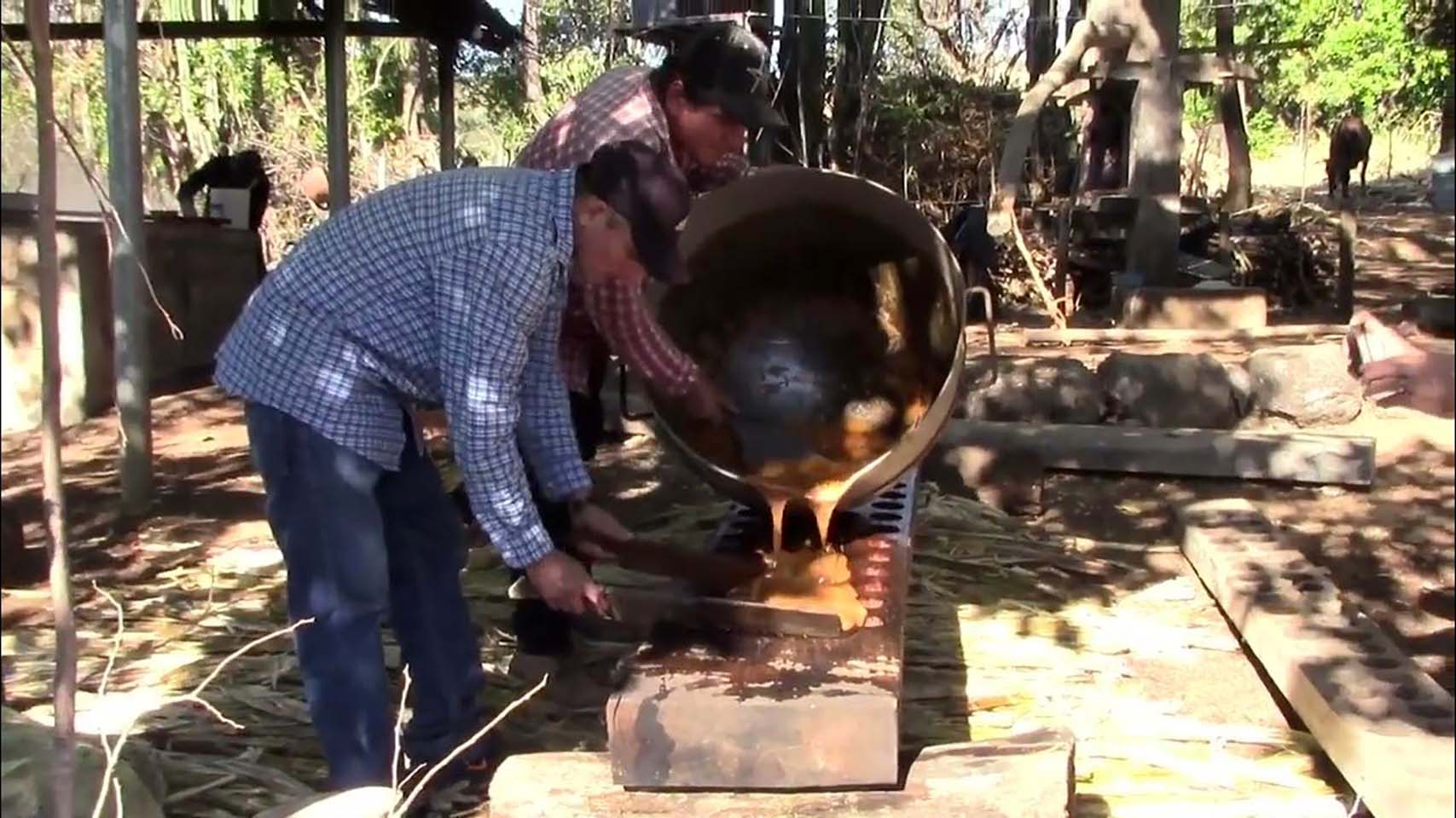 Llevarán a cabo el 5.° festival de la molienda en Anamorós