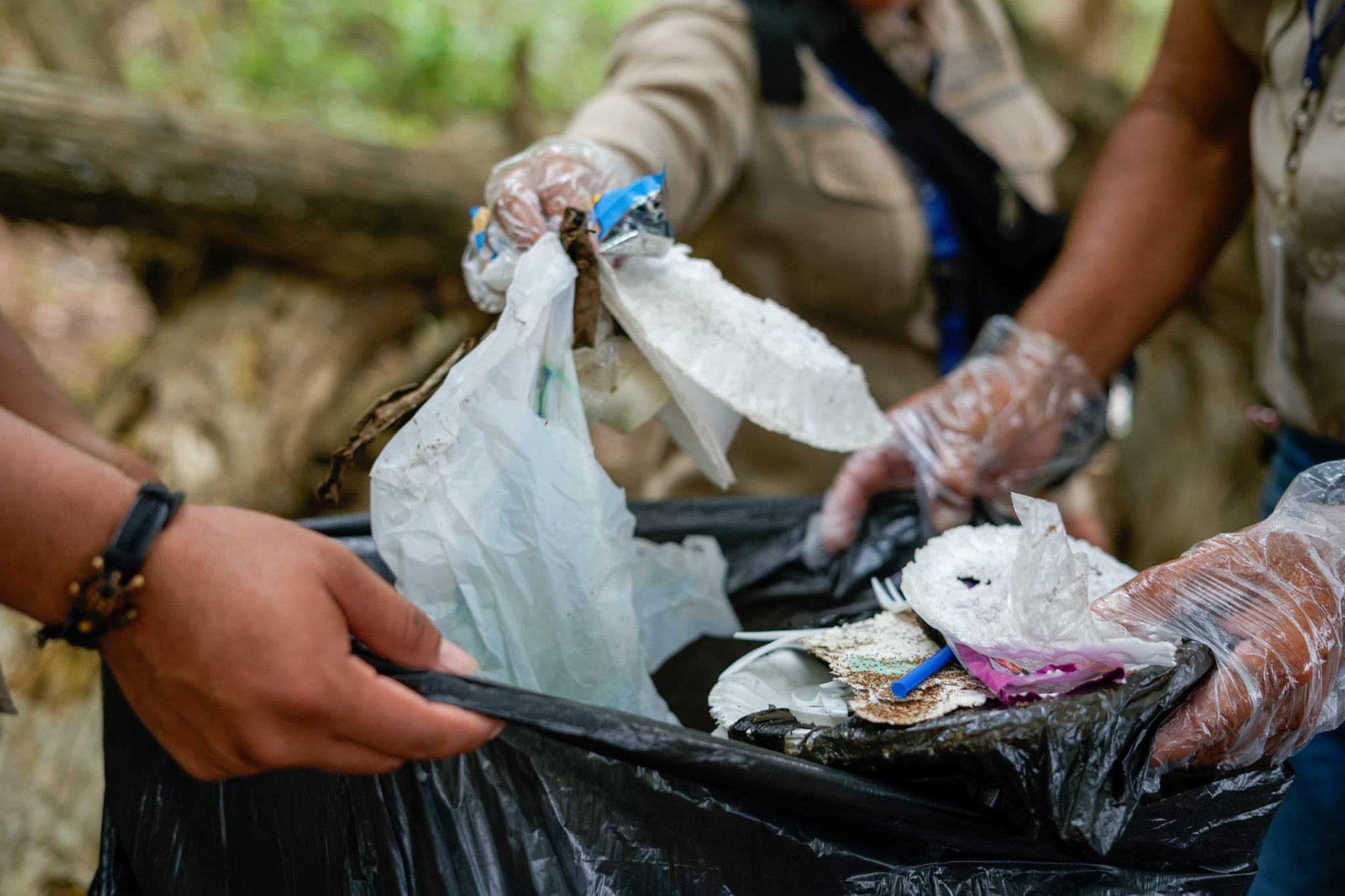 Preparan una nueva ordenanza de protección al medioambiente