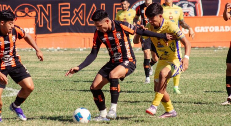 Foto: Águila