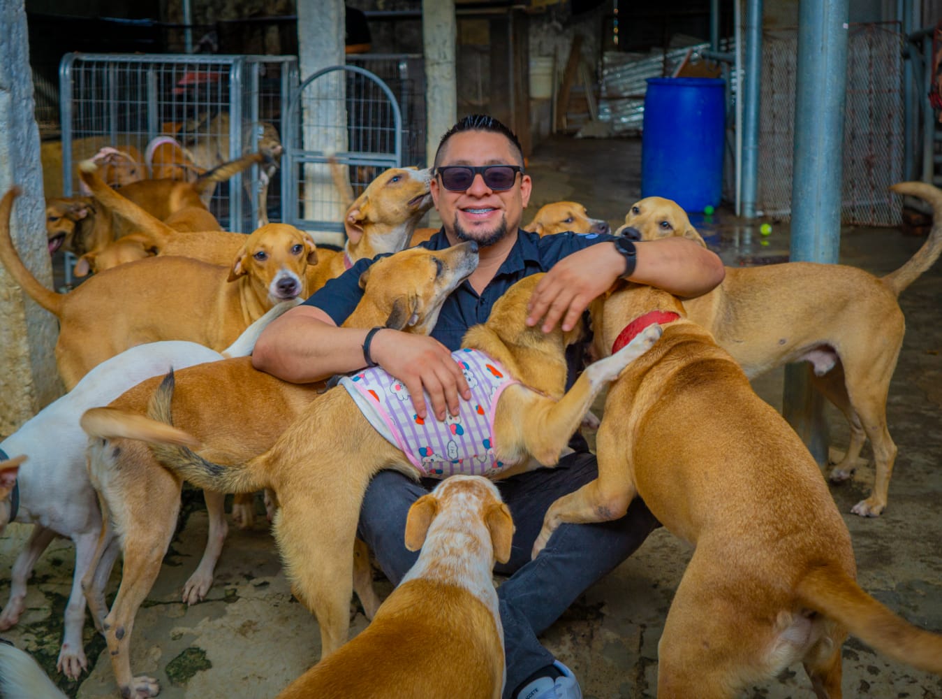 Geovanny Martínez: el rescatista de caninos en La Paz
