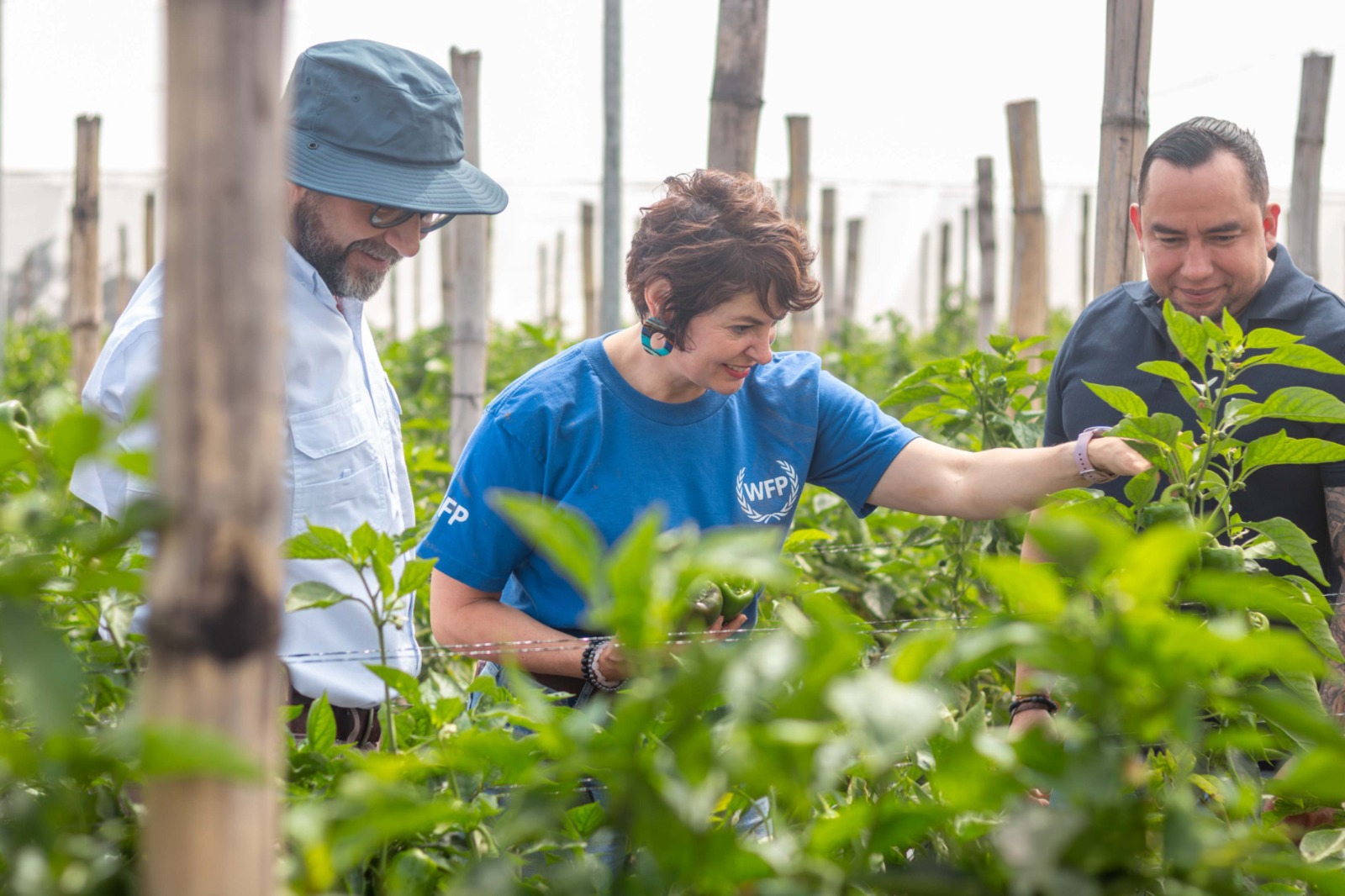 FAO y WFP se suman a la estrategia agrícola del Gobierno de El Salvador