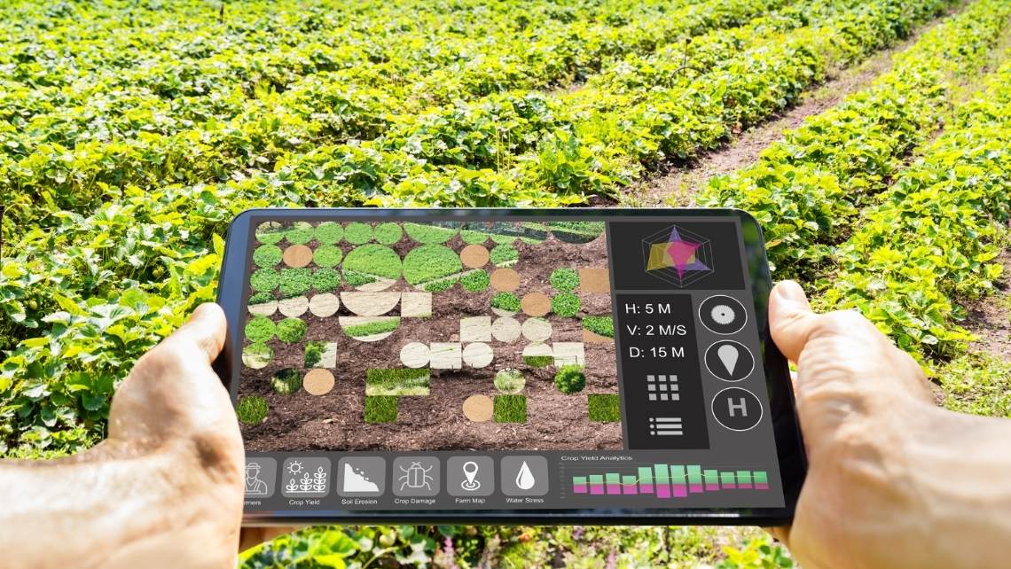 Inteligencia Artificial y satélite permiten mejorar la calidad de agricultura familiar sostenible en Brasil