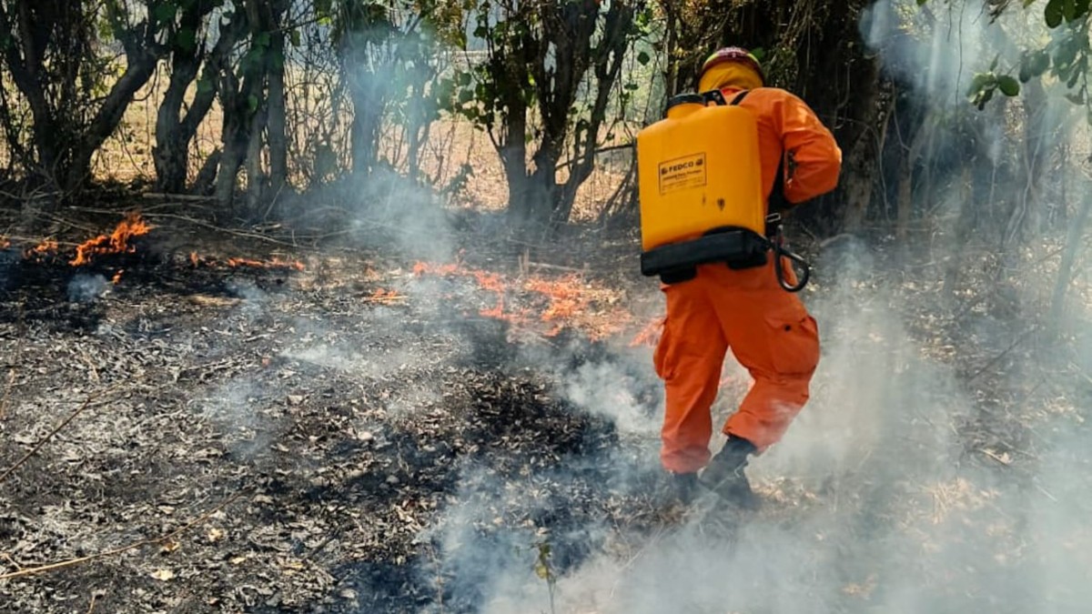 Bomberos atienden un promedio de 29 incendios a diario