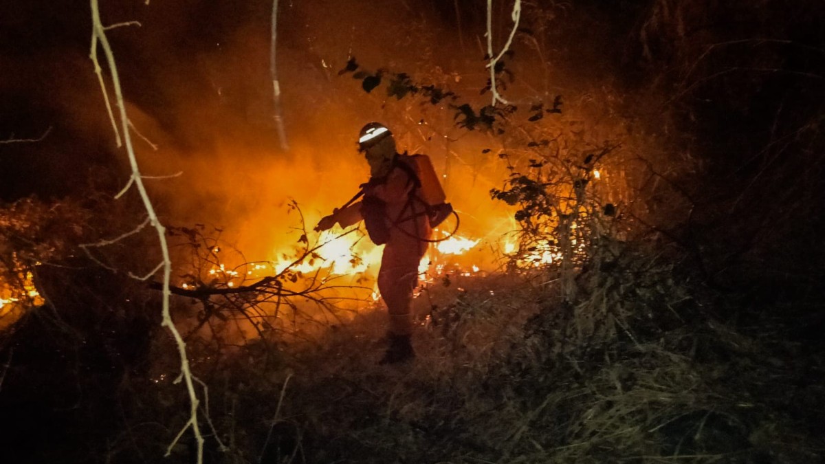 Bomberos registra 840 incendios en 2026