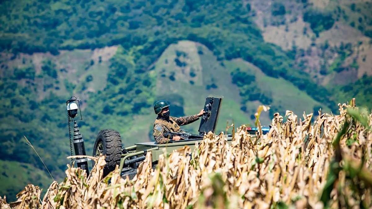 Cercos de seguridad liberaron a comunidades del acoso de pandillas