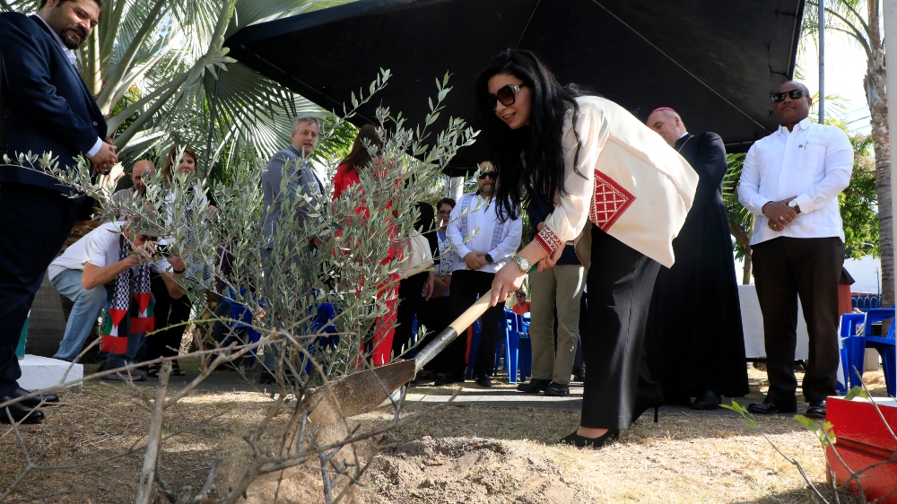 Siembran «Un Olivo por Palestina» en El Salvador