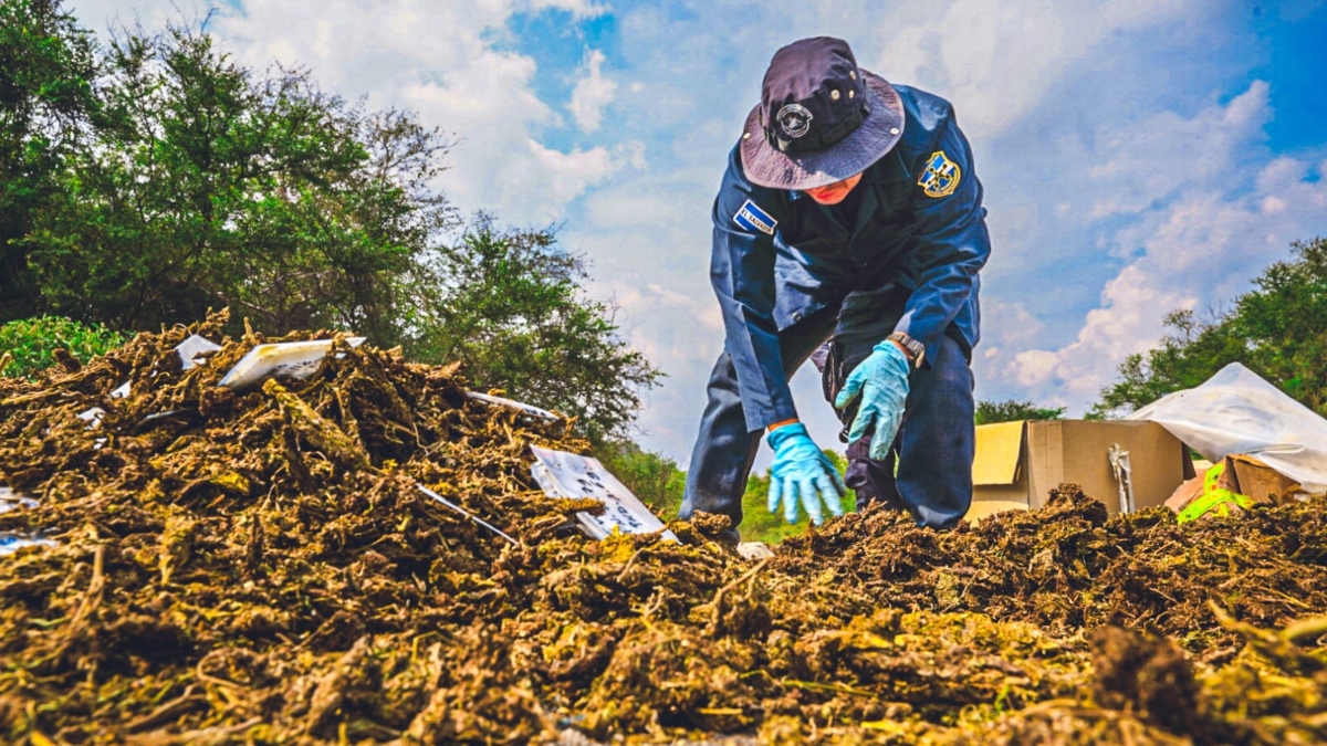 Autoridades han decomisado más de $1,533 millones en droga a pandillas