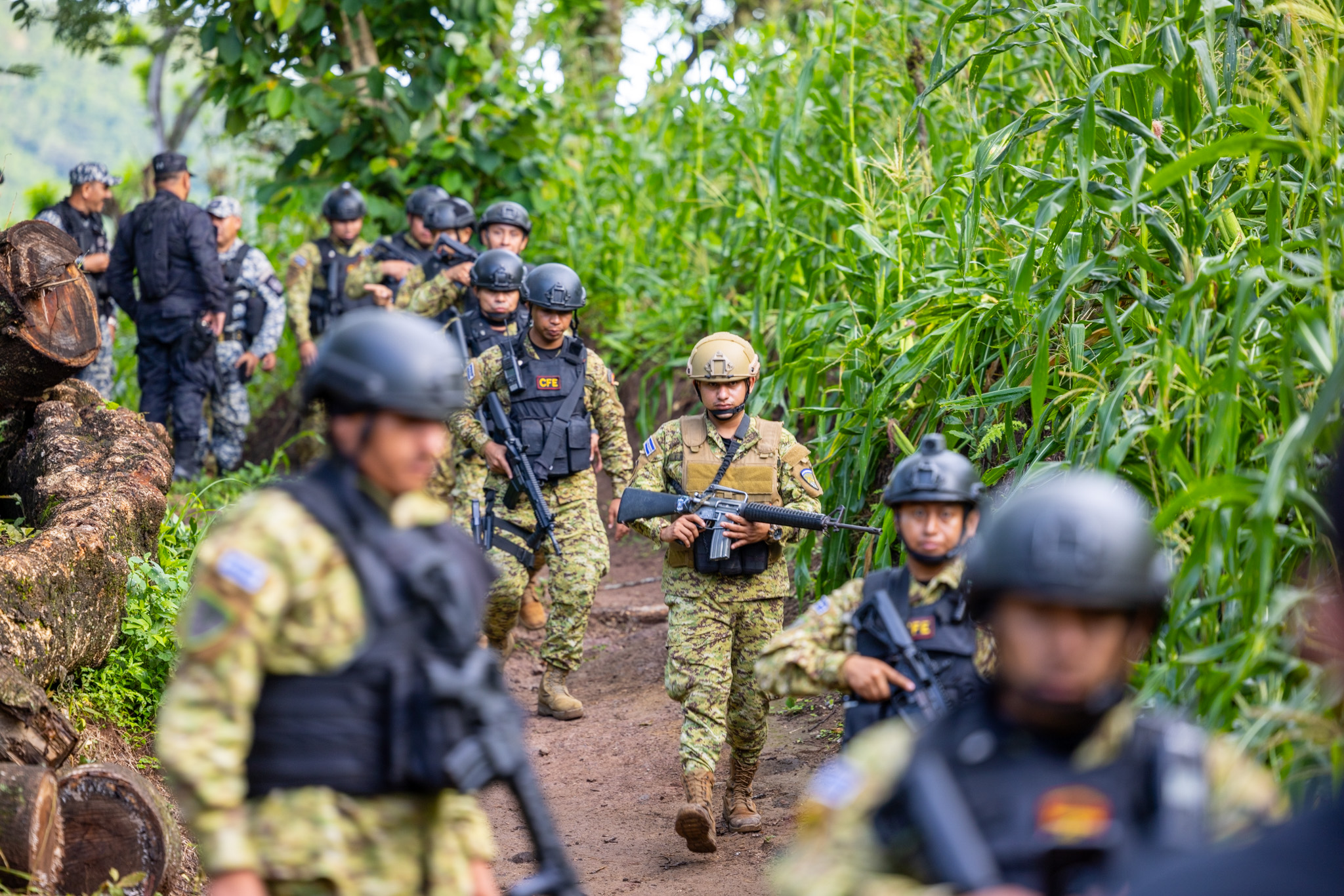 Marzo suma 17 días sin homicidios en El Salvador