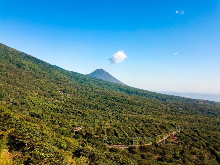 Foto: X / Diario El Salvador