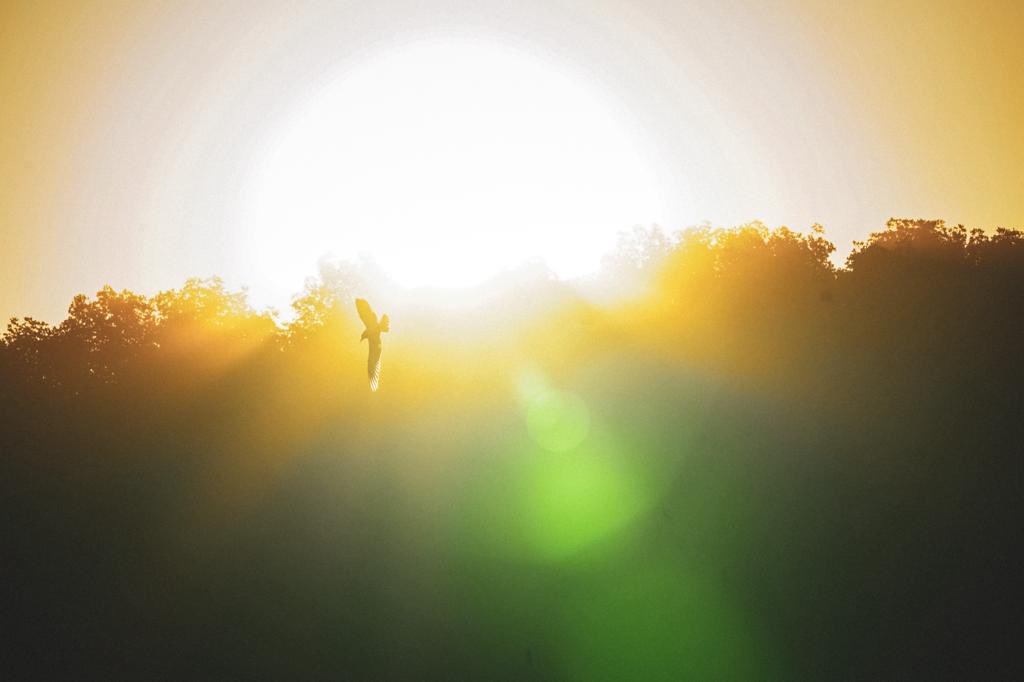 La Tierra acumula un calor récord en 2025, según la ONU