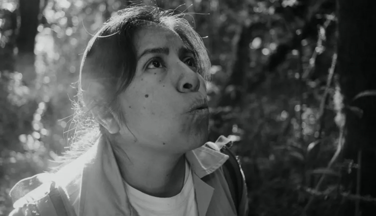 La película mexicana «La reserva» sobre la tala ilegal gana el Flechazo en Cinelatino