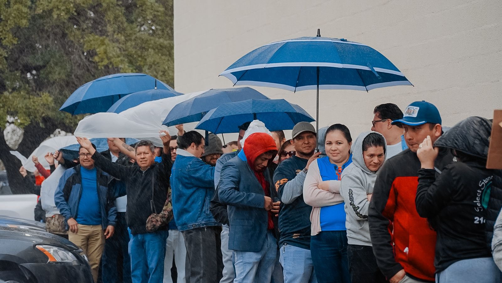 Inicia programa para observar el voto en el exterior, según Plagel