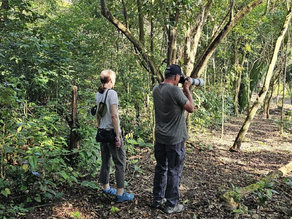 Sitios habilitados para observar aves durante el Centroamérica Big Day