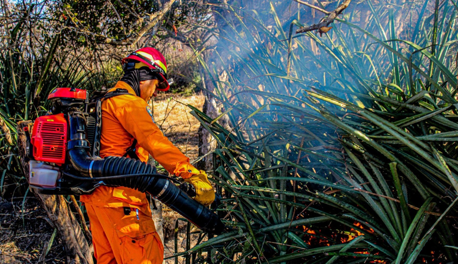 Incendios en maleza aumentan un 98 % en El Salvador