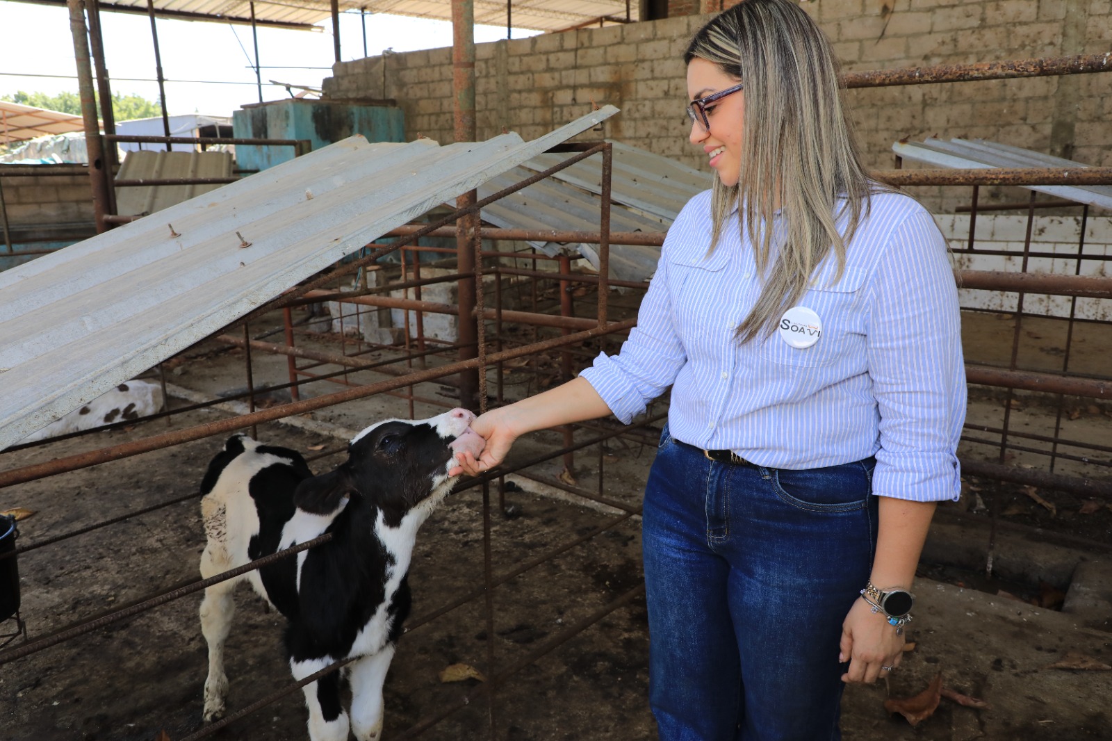 Elsa Sosa: líder en granja que produce 950 litros de leche diarios en Atiquizaya