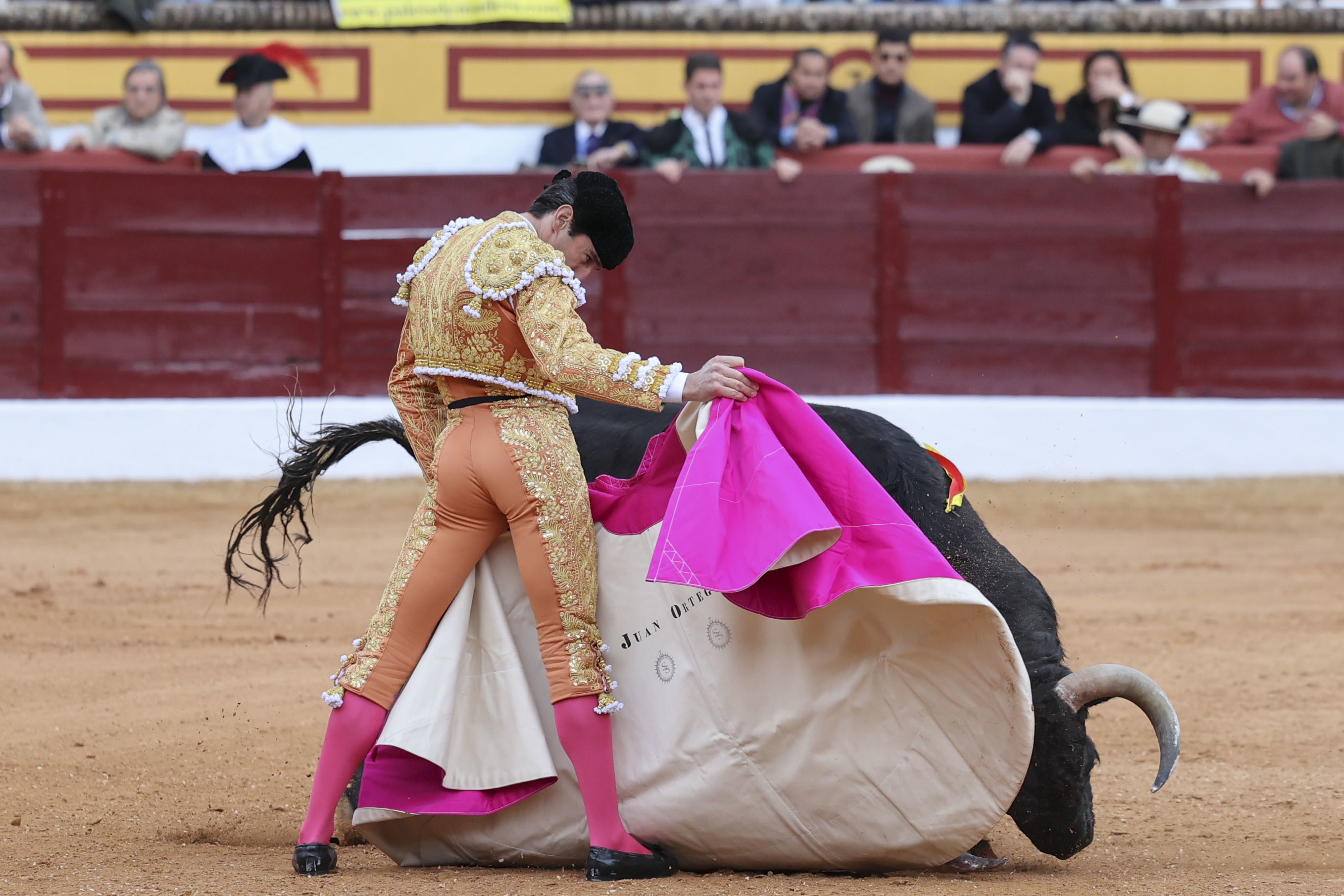 Muere corneado un extorero español cuando preparaba una corrida en Málaga