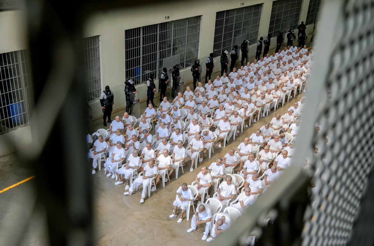 Perito presenta video de torturas y homicidio de la MS contra niños y mujeres que se negaron a colaborar