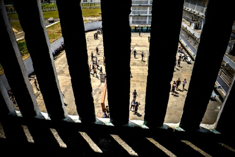 Foto: AFP/ Imagen ilustrativa