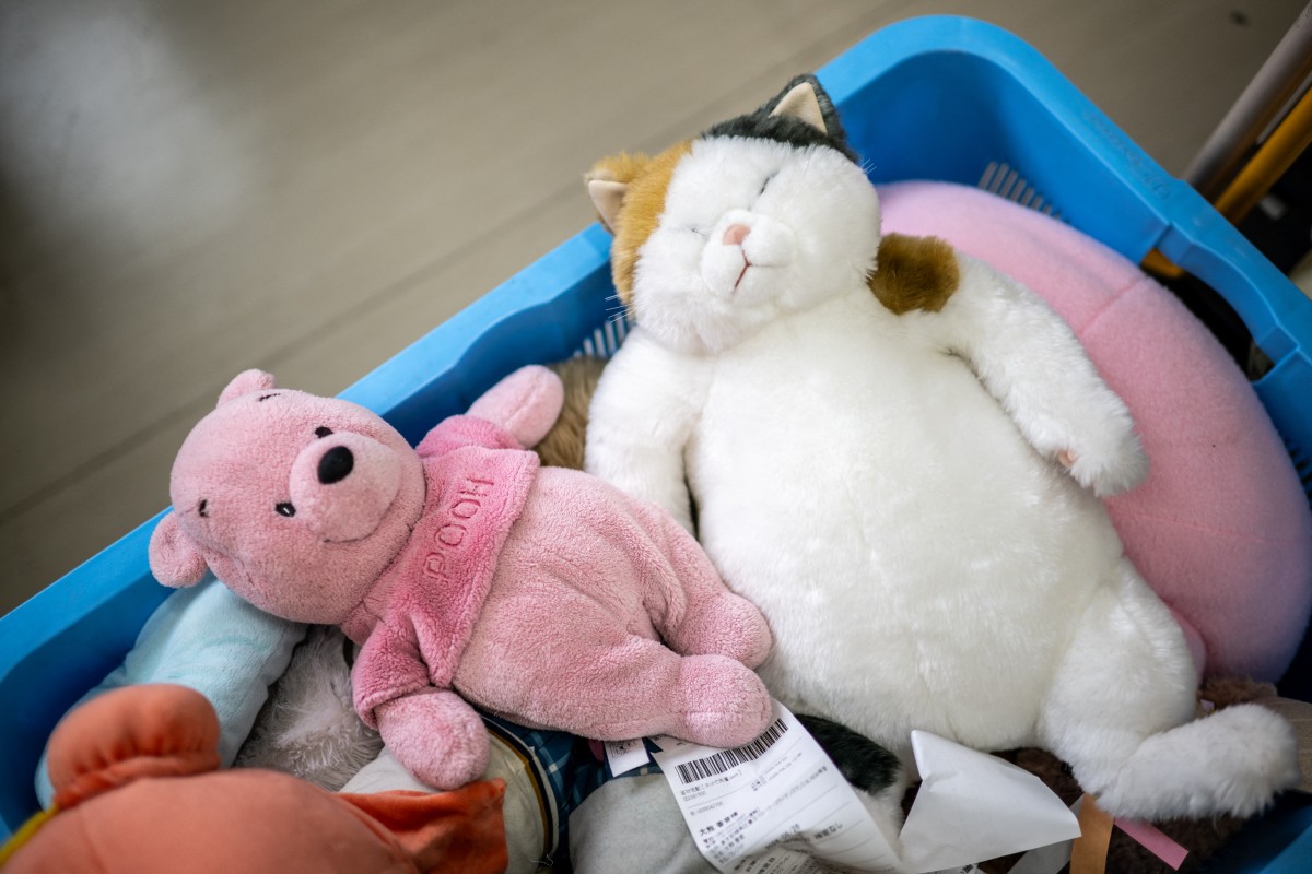 Una empresa de limpieza se vuelve viral en Japón por su servicio de «spa para peluches»