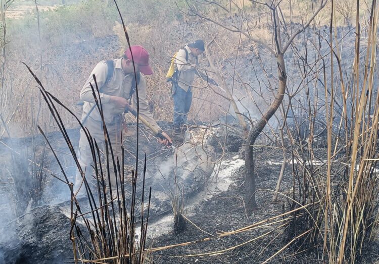 Foto: Diario El Salvador