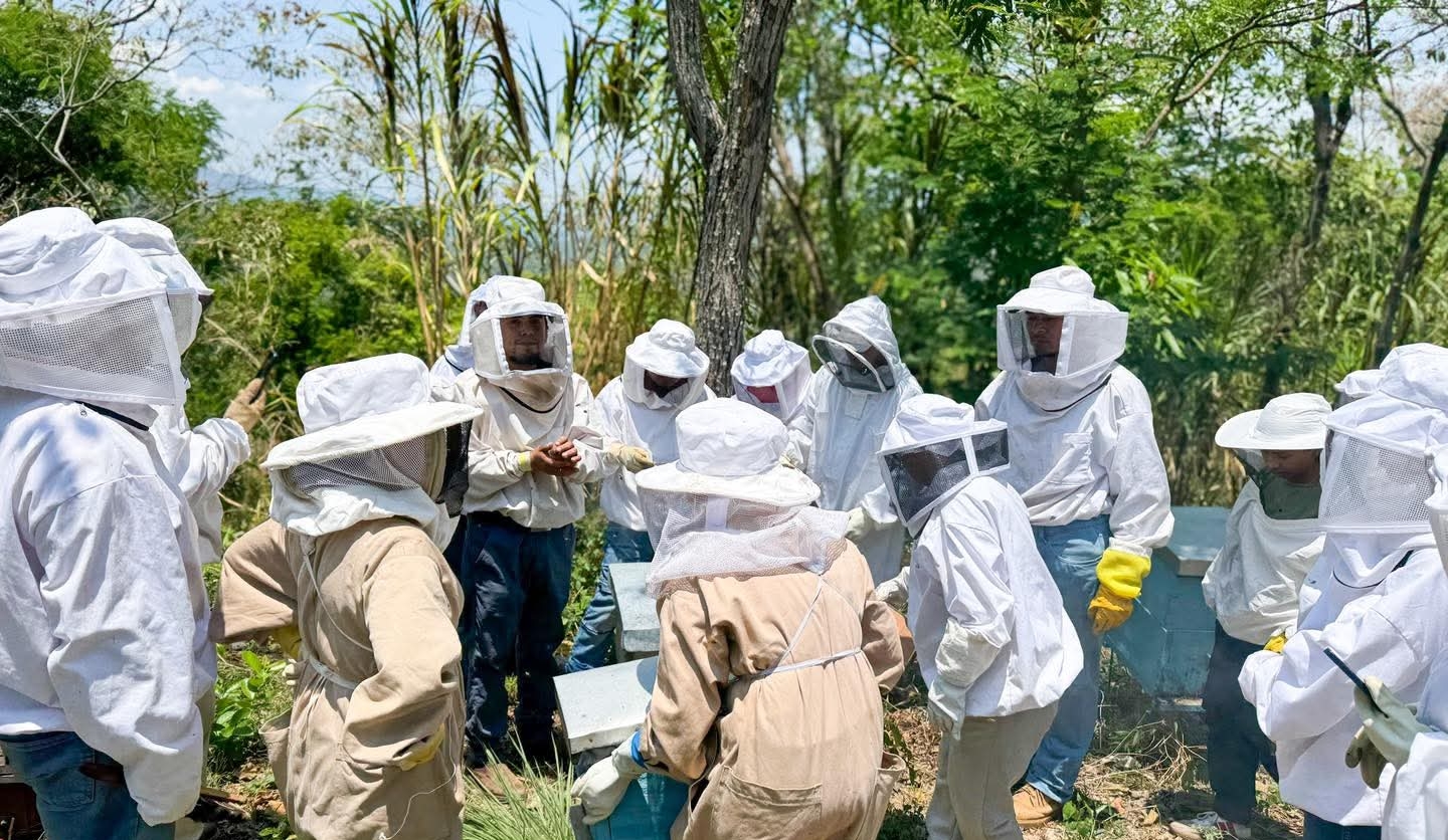 Apicultores de Morazán fortalecen sus capacidades productivas